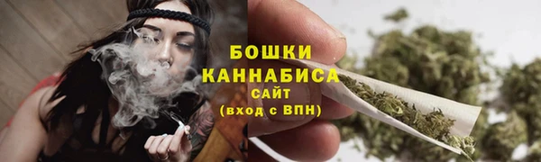 спиды Горняк