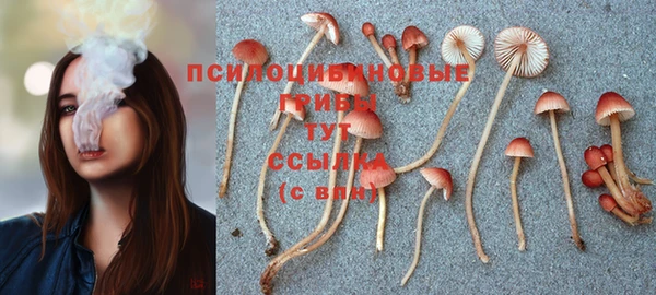 спиды Горняк