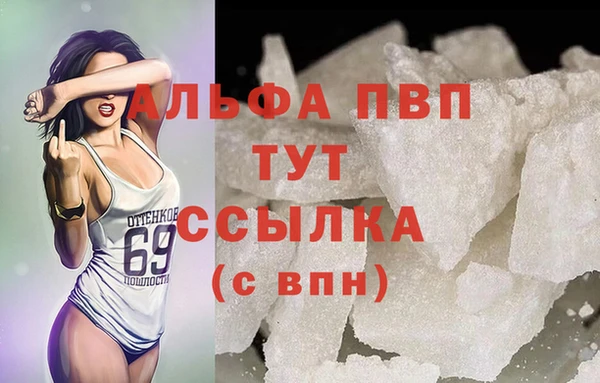 спиды Горняк