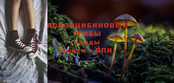 СК Горно-Алтайск
