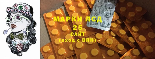 спиды Горняк