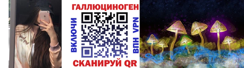 Купить где  Пустошка  Галлюциногенные грибы Cubensis 