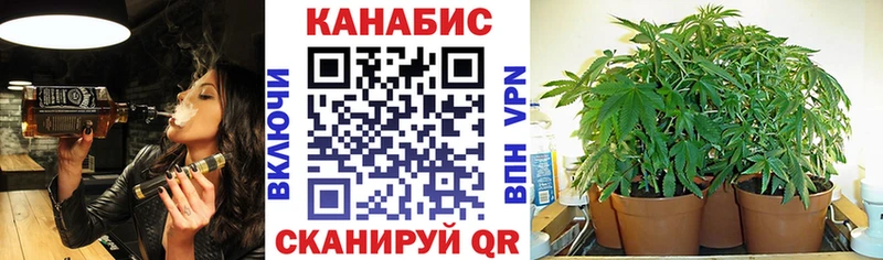 Конопля марихуана  Купить закладки  Пустошка 